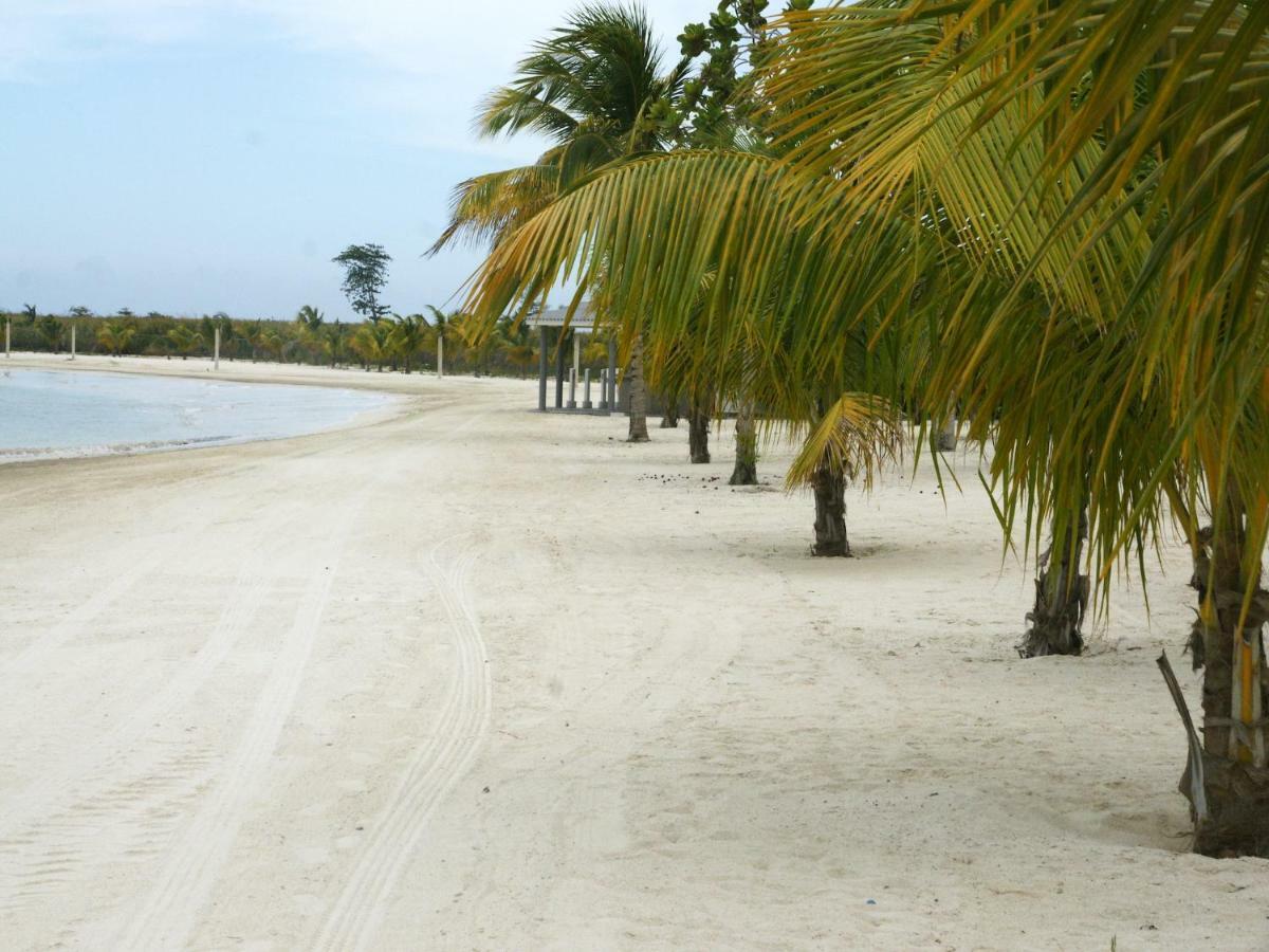 Jamnick Vacation Rentals - Richmond, St Ann, Jamaica Ocho Rios Exteriér fotografie